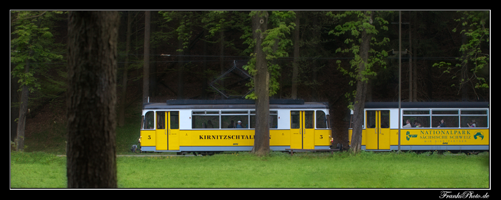 Tram im Wald