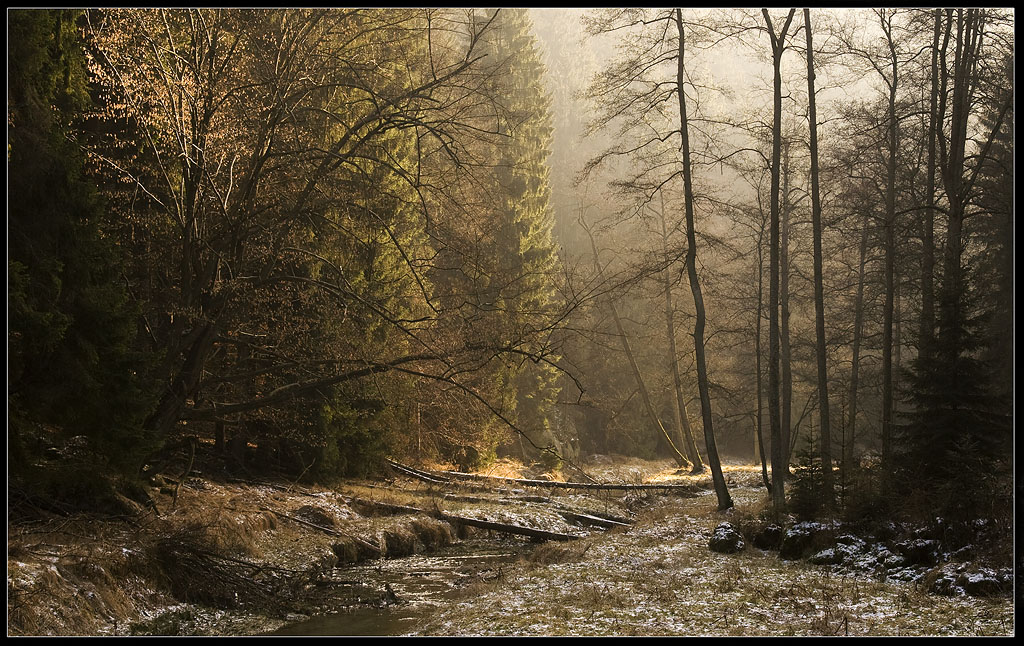 im Kirnitzschtal