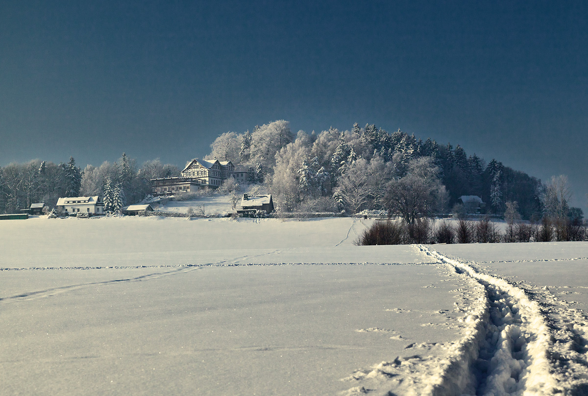 Wolfsberghotel1