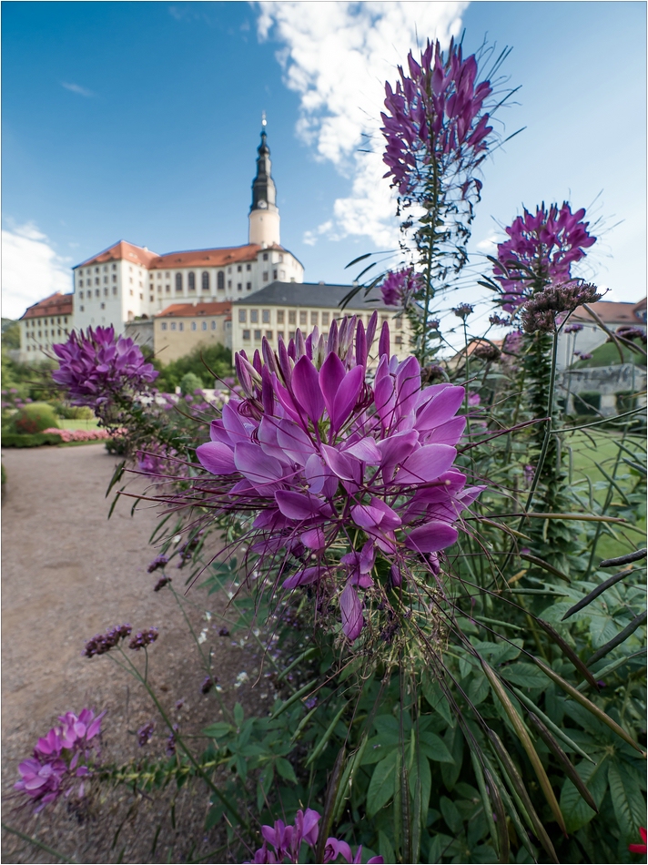 Schloss und Natur