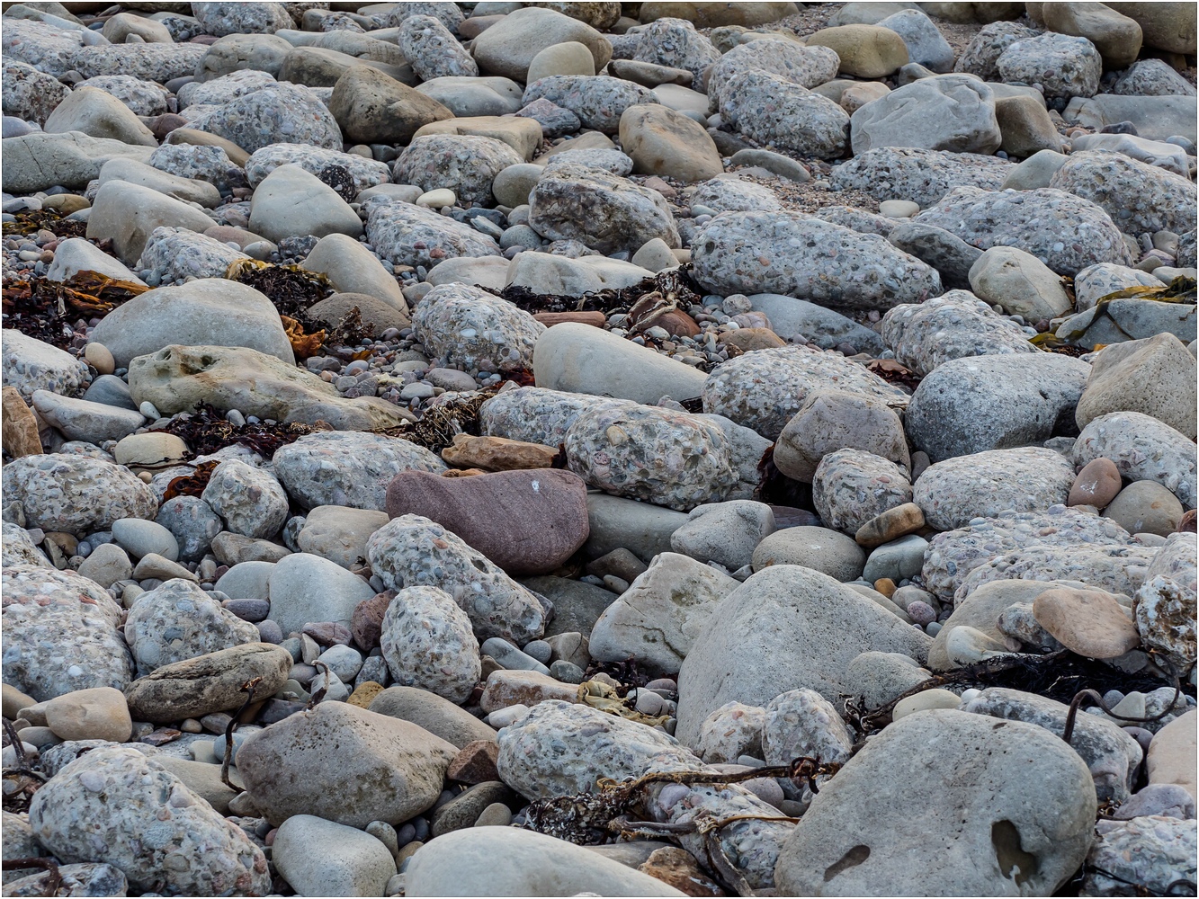 Schottische Nordsee