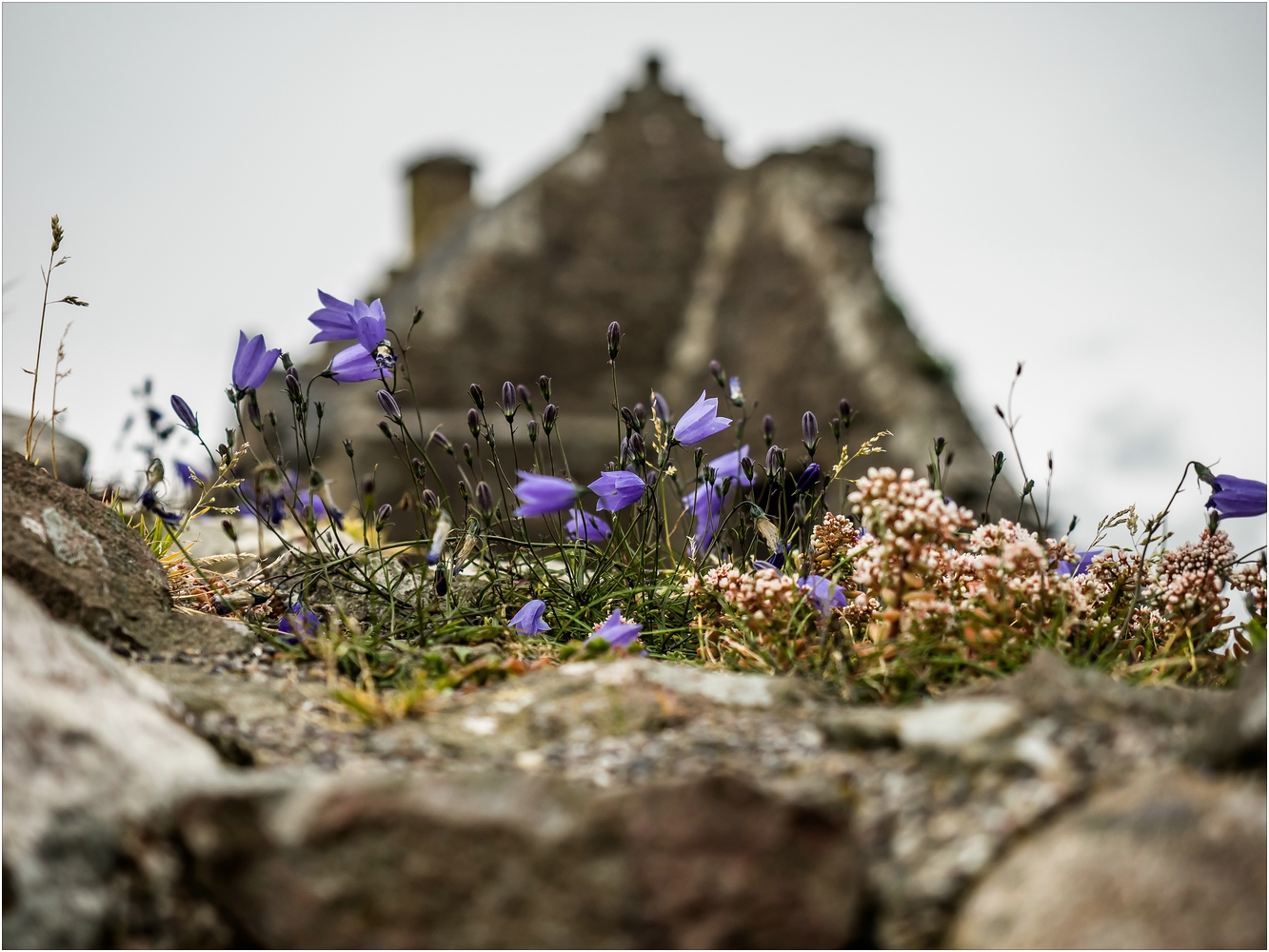 Donnotar Castle