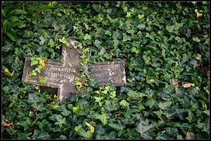 Eliasfriedhof 3