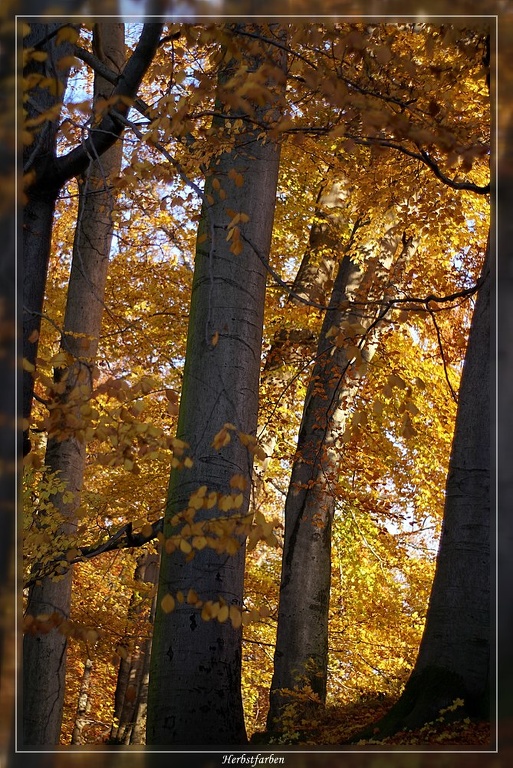 Herbstfarben03.jpg