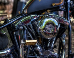 Harley Engine