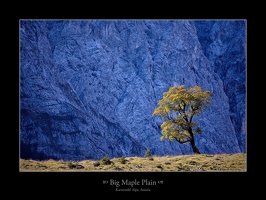 Der Große Ahornboden