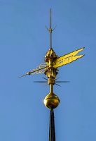 IMG 20250723 192440