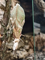 IMG 20250813 112457(2)