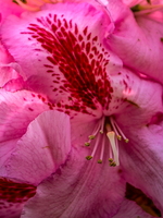 IMG 20260513 171327