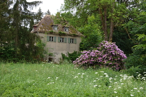 DSC07432