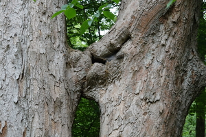 DSC07456