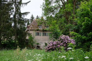 Verwunschen