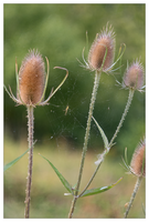 Bild (18 von 18)
